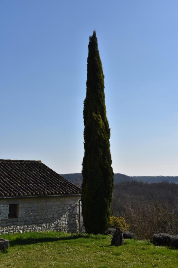 Les Collines Du Quercy Blanc Villa Castelnau-Montratier Exterior photo